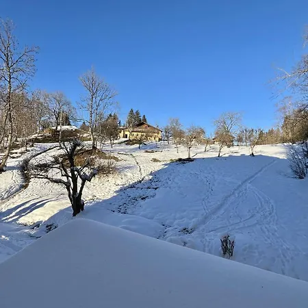 Confortable Proche Du Centre Avec Parking, Navette Et Randonnees A - Fr-1-597-190 Appartement