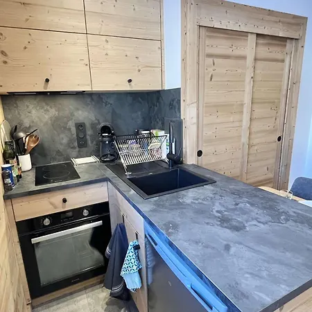 Appartement Confortable Proche Du Centre Avec Parking, Navette Et Randonnees A - Fr-1-597-190