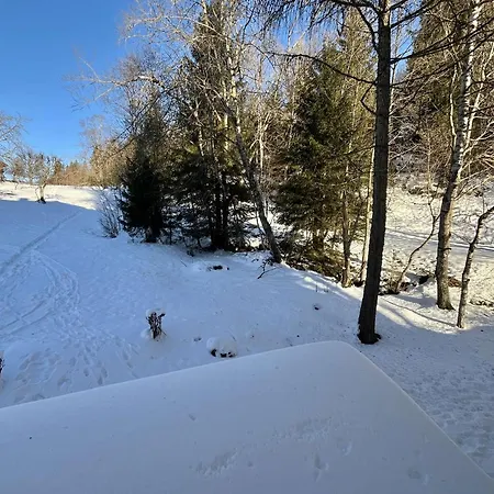 شقة Confortable Proche Du Centre Avec Parking, Navette Et Randonnees A - Fr-1-597-190