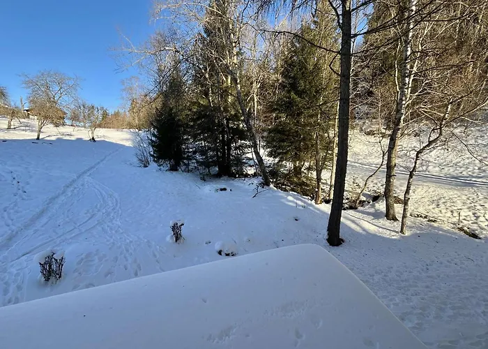 شقة Confortable Proche Du Centre Avec Parking, Navette Et Randonnees A - Fr-1-597-190