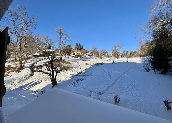 Confortable Proche Du Centre Avec Parking, Navette Et Randonnees A - Fr-1-597-190 شقة