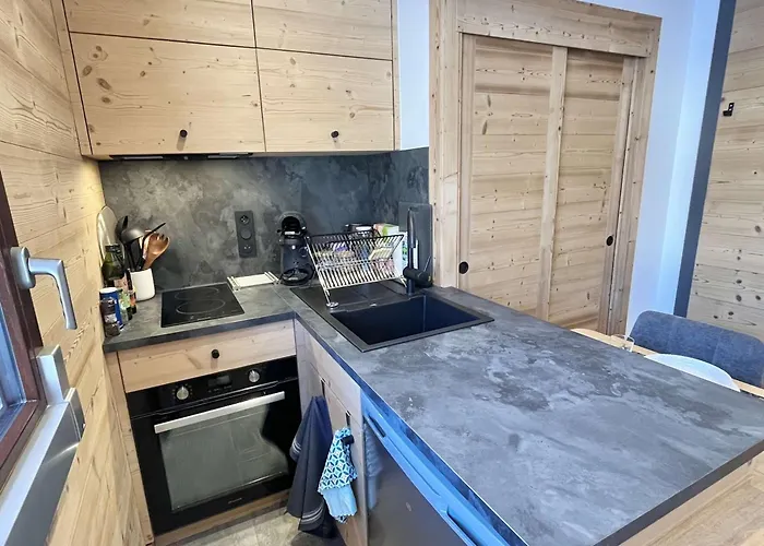 شقة Confortable Proche Du Centre Avec Parking, Navette Et Randonnees A - Fr-1-597-190