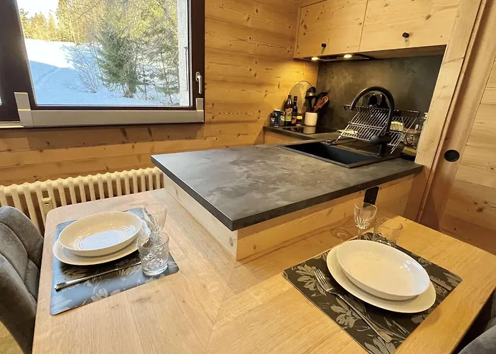 شقة Confortable Proche Du Centre Avec Parking, Navette Et Randonnees A - Fr-1-597-190